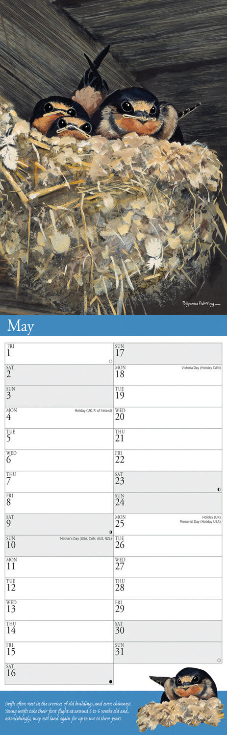Garden Birds By Pollyanna Pickering Slim Calendar 2026