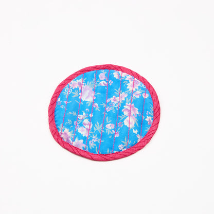 I Was a Sari Coaster