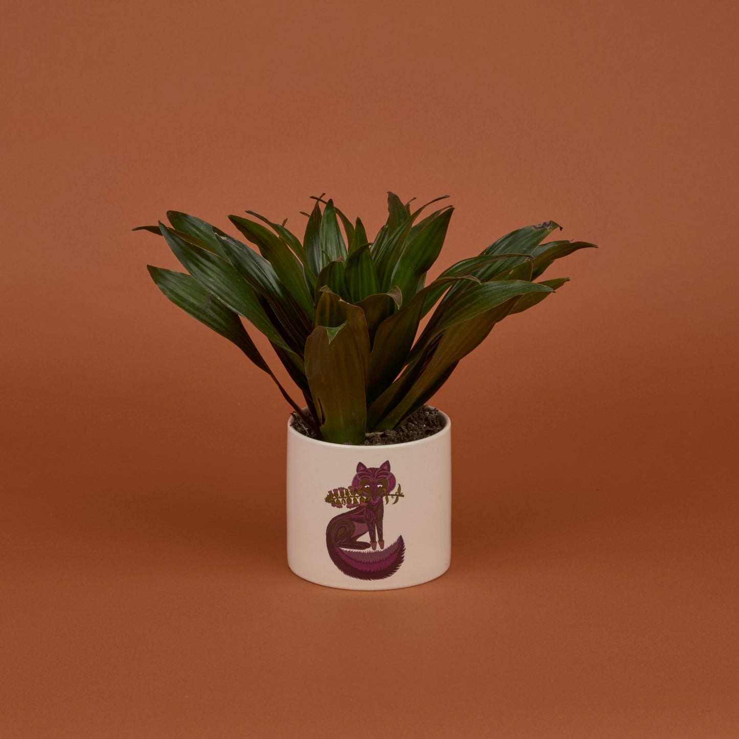 Belinda Lyon Planter